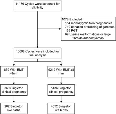 Thin endometrium is associated with higher risks of preterm birth and low birth weight after frozen single blastocyst transfer